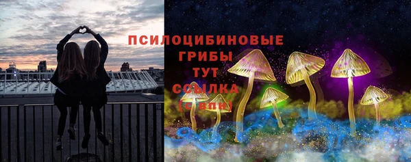 дживик Балахна